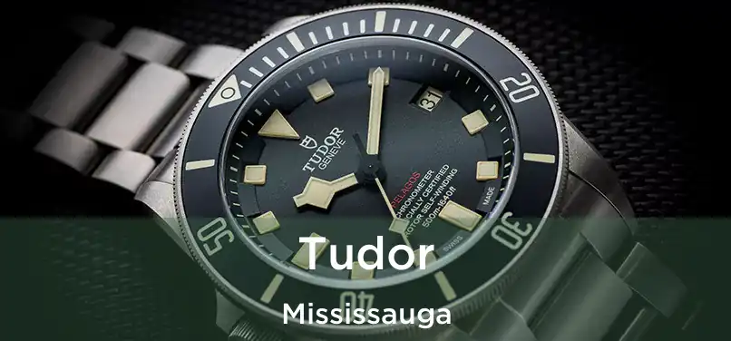  Tudor Mississauga